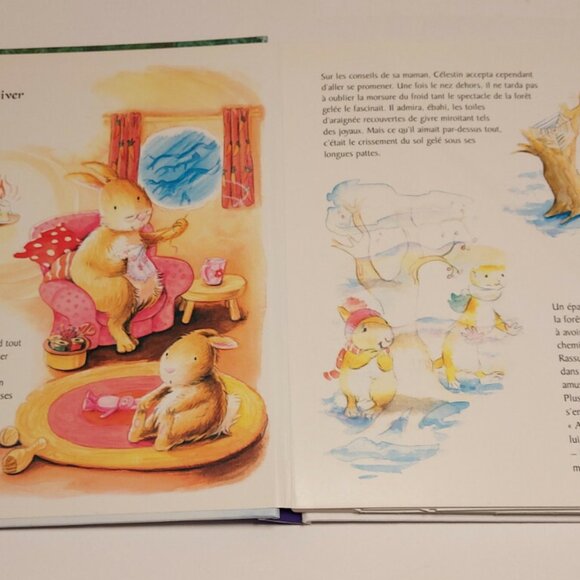 Children's pop-up book French (Paris) "AU PAYS DES HIVERS TENDRES" HC - Exel Con - Picture 3 of 9